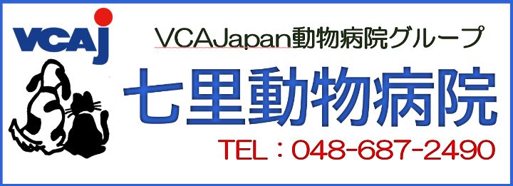 七里動物病院