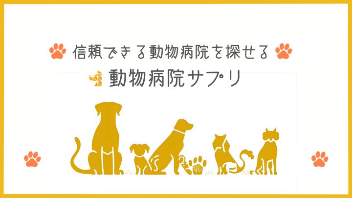 動物病院サプリ